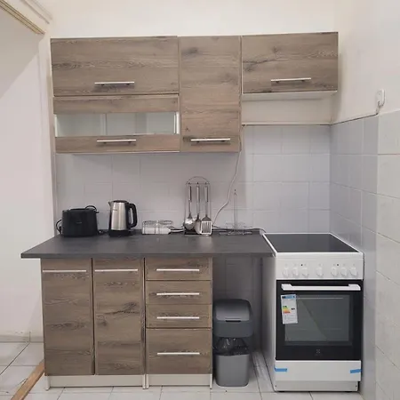 Vac1 Spacious Flat Near Market & Danube River Apartment