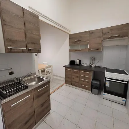 公寓 Vac1 Spacious Flat Near Market & Danube River 布达佩斯